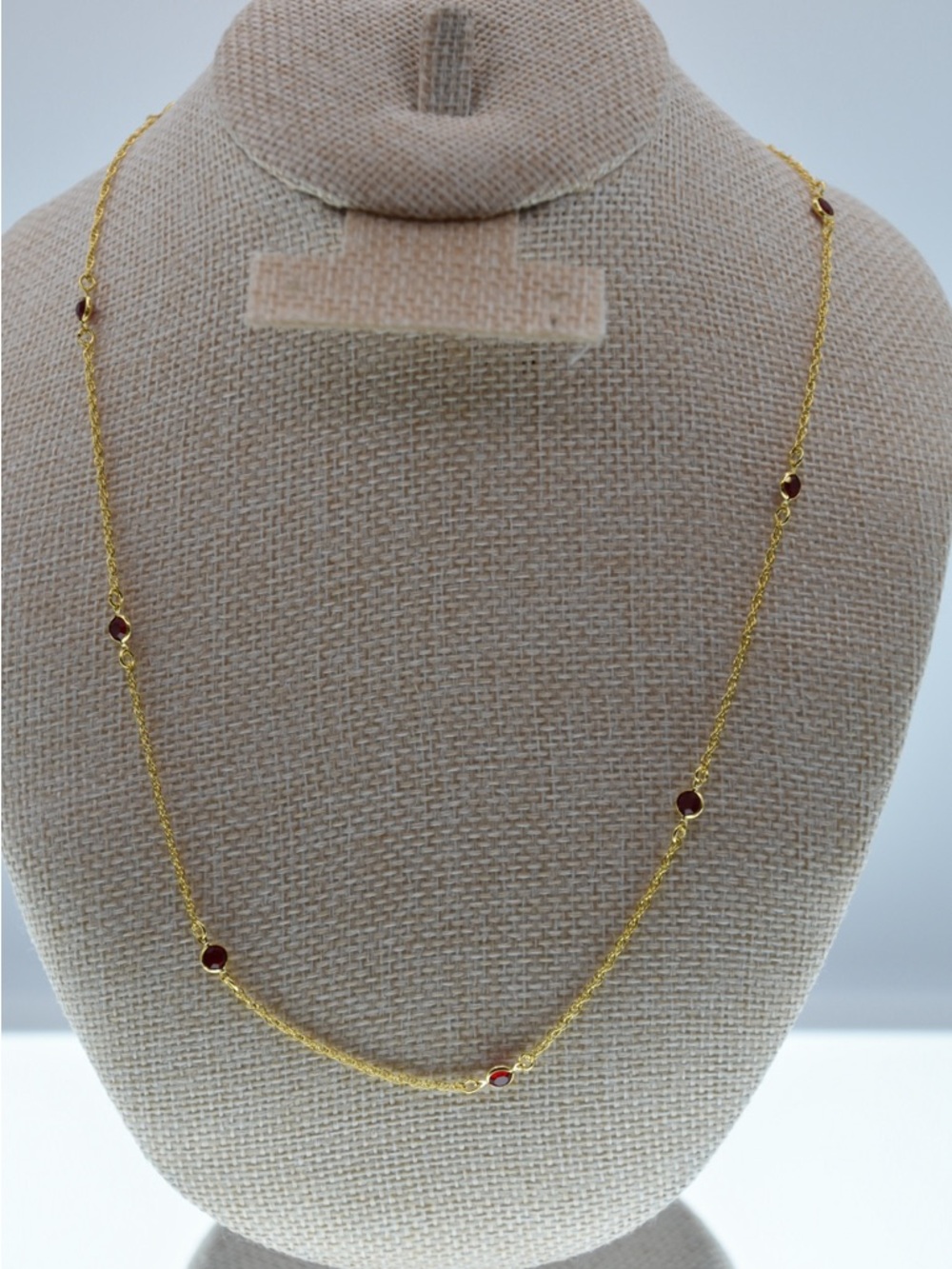 Frieda Rothman Vault Chain Necklace with Small Red Stations- Women Jewelry